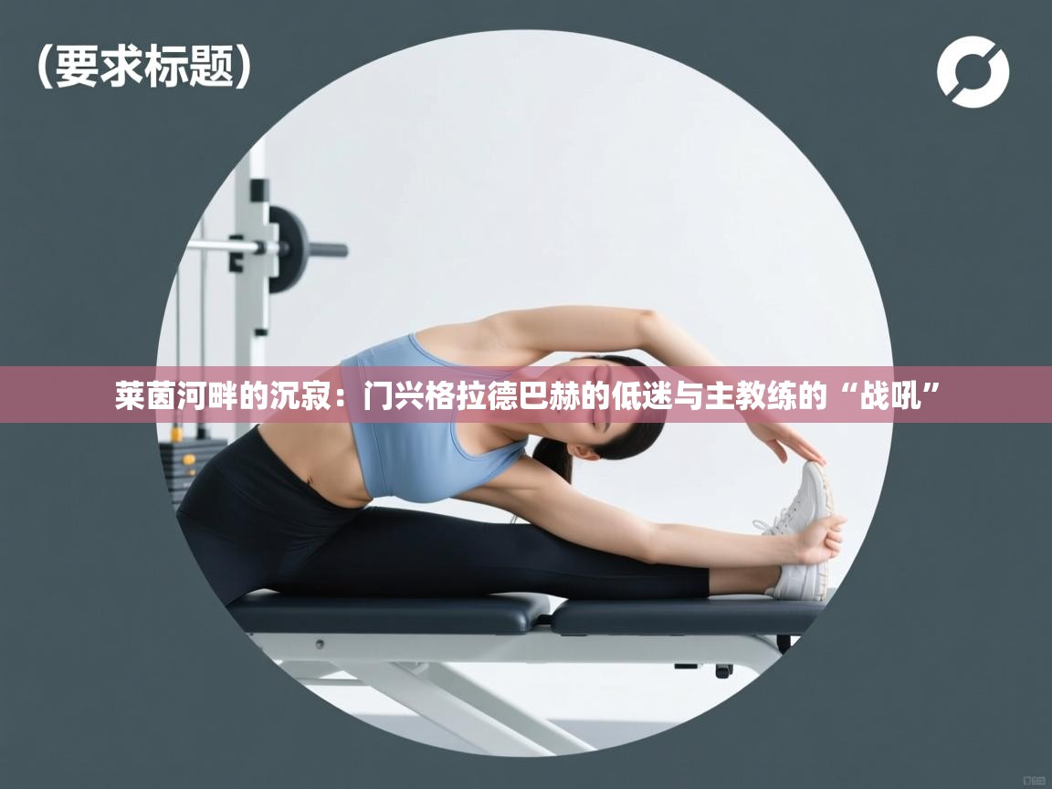 莱茵河畔的沉寂:门兴格拉德巴赫的低迷与主教练的“战吼” 第1张