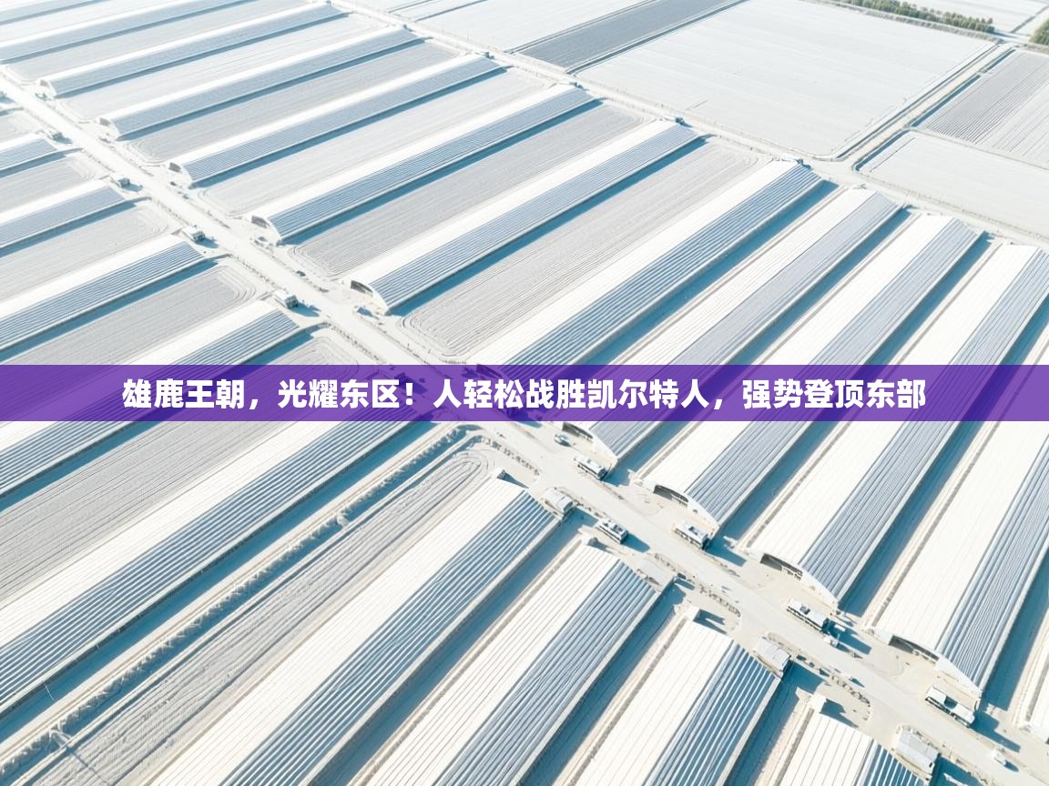 雄鹿王朝，光耀东区！人轻松战胜凯尔特人，强势登顶东部  第1张