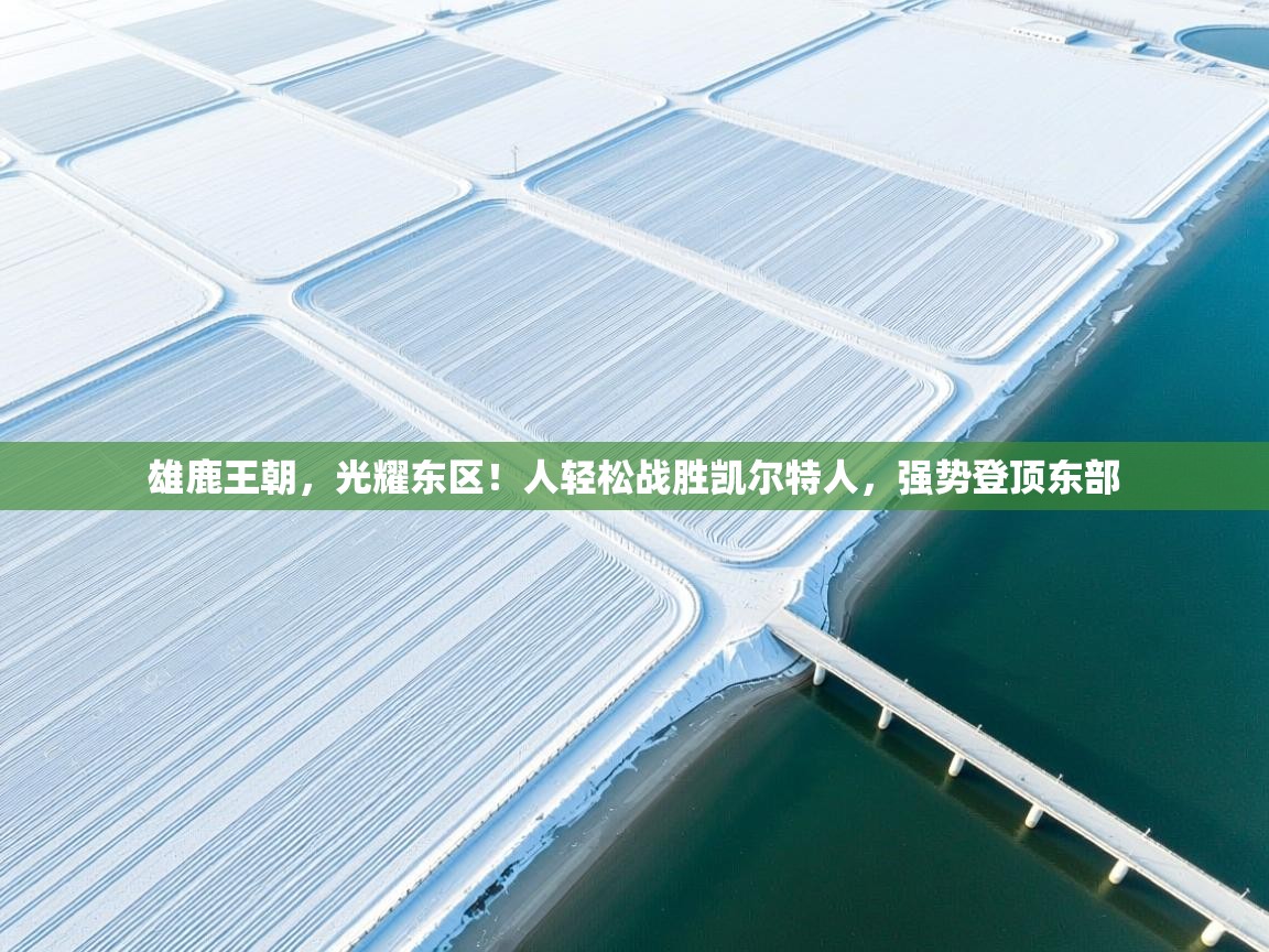 雄鹿王朝，光耀东区！人轻松战胜凯尔特人，强势登顶东部  第2张